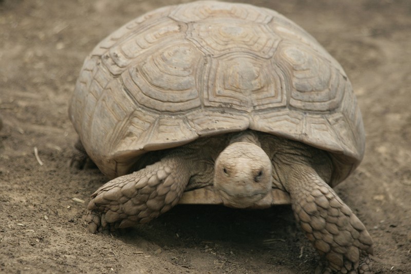 Fotoclubje Blijdorp 2008-72.jpg